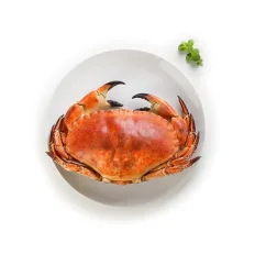 Crab