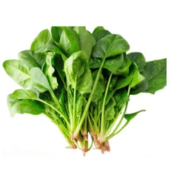 Fresh spinach leaves
