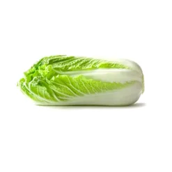 Napa cabbage