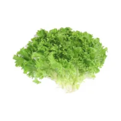 Da Lat Lettuce