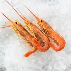 Argentinian Red Shrimp 1kg