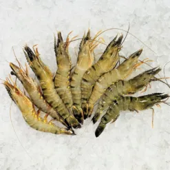 Indonesian Black Tiger Shrimp 500g